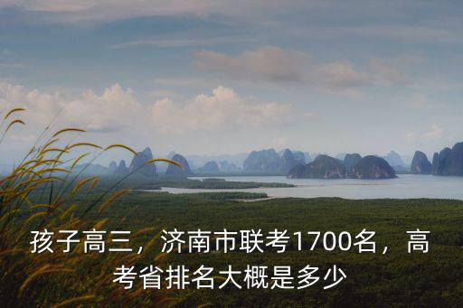 孩子高三，濟南市聯考1700名，高考省排名大概是多少