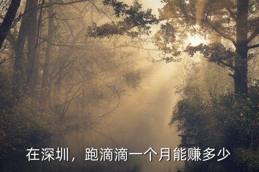 深圳跑滴滴一般賺多少錢,跑滴滴一個月大概凈賺多少錢