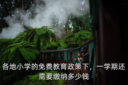 各地小學的免費教育政策下，一學期還需要繳納多少錢