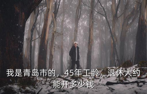 我是青島市的，45年工齡，退休大約能開多少錢