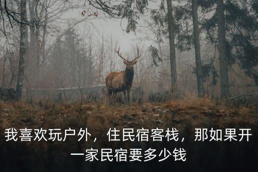 泰安開一家民宿預算多少錢,那如果開一家民宿要多少錢