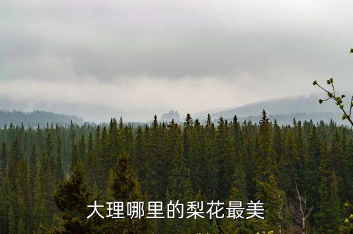 大理哪里的梨花最美
