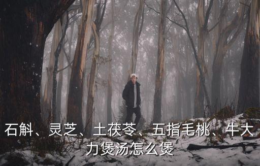 石斛怎么煲湯廣東,石斛煲湯的做法有哪些