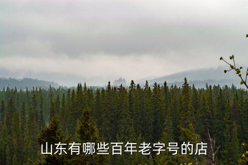 東營有多少家百年老店,中國有百年企業或百年老店嗎