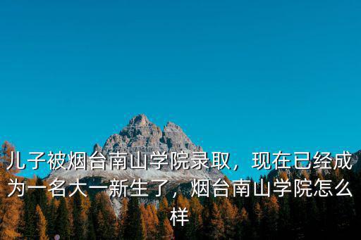 煙臺南山學院商院多少人,煙臺南山學院怎么樣