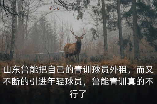 山東魯能把自己的青訓(xùn)球員外租，而又不斷的引進(jìn)年輕球員，魯能青訓(xùn)真的不行了