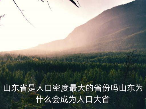 山東省是人口密度最大的省份嗎山東為什么會成為人口大省