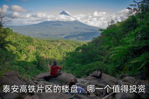 泰安高鐵片區(qū)的樓盤(pán)，哪一個(gè)值得投資