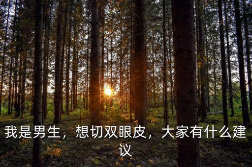 我是男生，想切雙眼皮，大家有什么建議