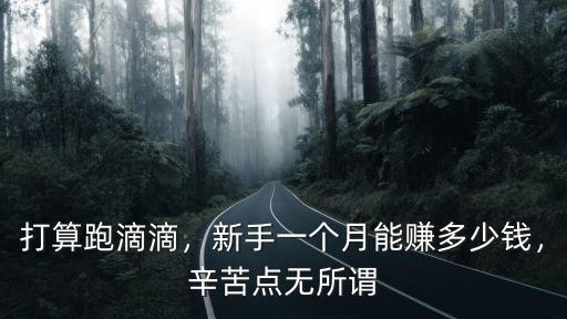 打算跑滴滴，新手一個月能賺多少錢，辛苦點無所謂
