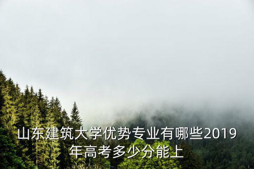 山東2019高考多少分能上211,2019年高考多少分能上