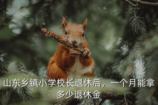 山東老師退休多少錢,山東鄉鎮小學校長退休后