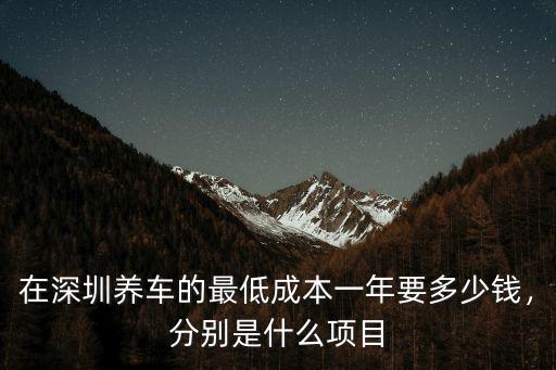 在深圳養車的最低成本一年要多少錢，分別是什么項目