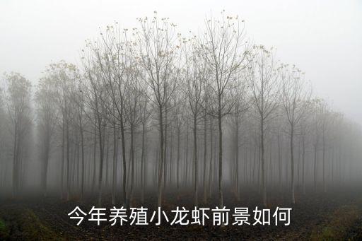 今年養殖小龍蝦前景如何