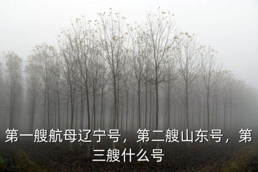 山東號航母一共多少人,山東號航空母艦全長是多少