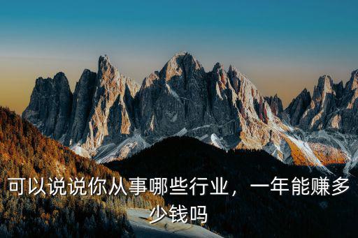 可以說說你從事哪些行業，一年能賺多少錢嗎