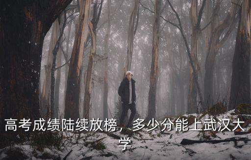 高考成績(jī)陸續(xù)放榜，多少分能上武漢大學(xué)