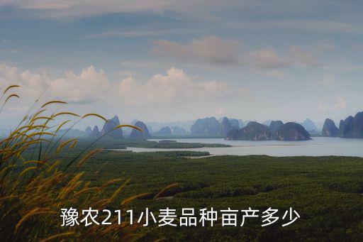 豫農211小麥品種畝產多少