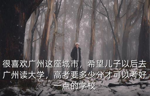 廣州廣州大學(xué)需要多少分,希望兒子以后去廣州讀大學(xué)