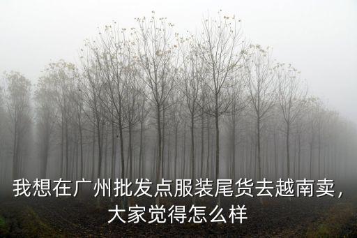 我想在廣州批發點服裝尾貨去越南賣，大家覺得怎么樣