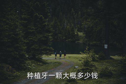 廣州做一顆種植牙大概多少錢一顆,廣州種植牙一顆多少錢
