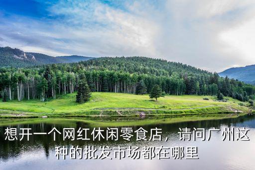 想開一個網紅休閑零食店，請問廣州這種的批發市場都在哪里