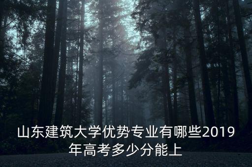 山東建筑大學(xué)優(yōu)勢(shì)專(zhuān)業(yè)有哪些2019年高考多少分能上