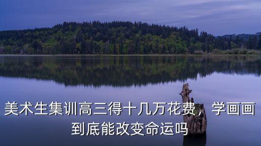聊城高三美術集訓要多少學費,美術生集訓高三得十幾萬花費