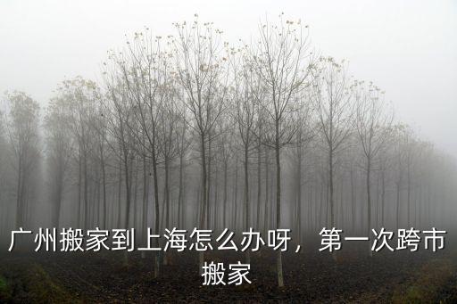 大慶到廣州搬家怎么辦,廣州搬家到上海怎么辦呀