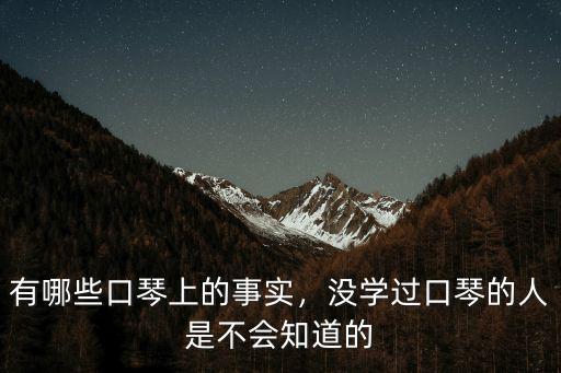 陽江哪里有學口琴,從哪里學藍調口琴