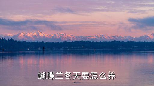 珠海蝴蝶蘭怎么養,蝴蝶蘭怎么養