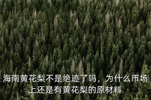 海南黃花梨不是絕跡了嗎，為什么市場(chǎng)上還是有黃花梨的原材料