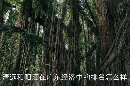 廣東陽江市怎么樣圖片,你們覺得陽江旅游景點怎么樣