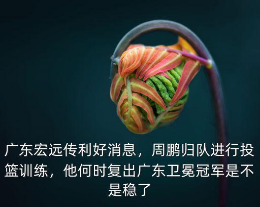 廣東宏遠周鵬在哪里,廣東宏遠傳利好消息