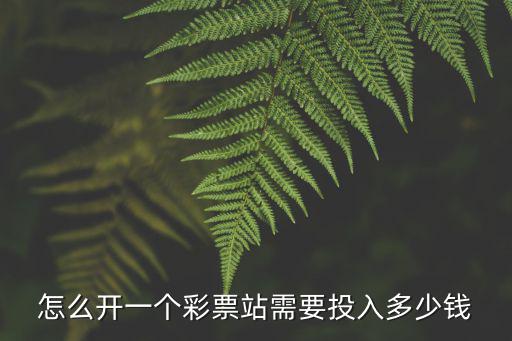 怎么開一個(gè)彩票站需要投入多少錢