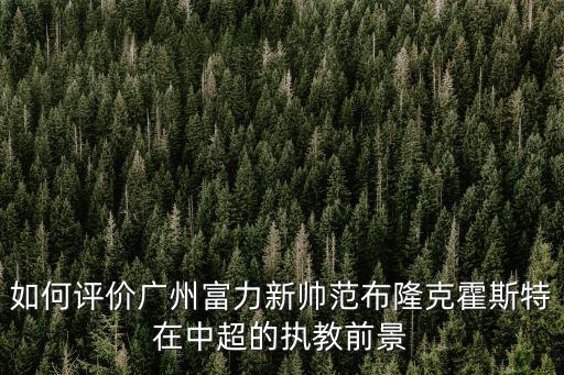 如何評價廣州富力新帥范布隆克霍斯特在中超的執教前景