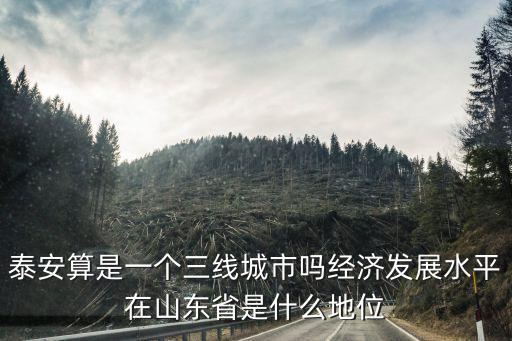 山東三線城市有多少個,泰安算是一個三線城市嗎