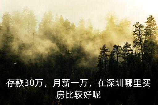 存款30萬，月薪一萬，在深圳哪里買房比較好呢