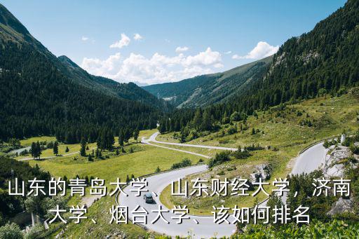 山東的青島大學、山東財經大學，濟南大學、煙臺大學、該如何排名