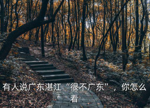 外省怎么看廣東的經濟,外省女是怎樣看廣東男的