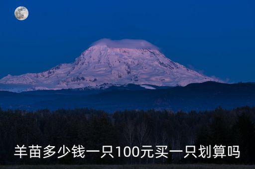 2020年山東杜泊羊多少錢一只,羊苗多少錢一只
