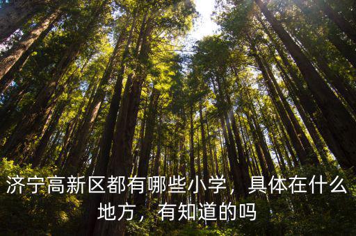 濟寧高新區都有哪些小學，具體在什么地方，有知道的嗎