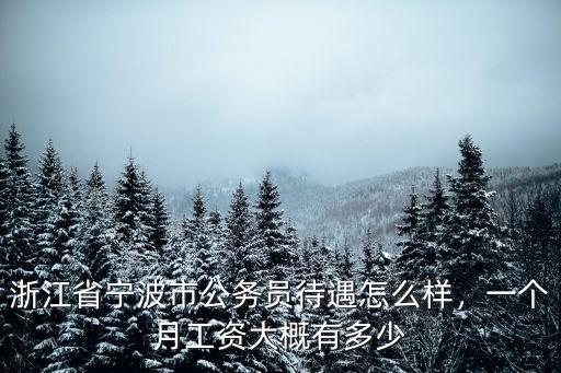 寧波退休工資最多多少,一個月工資大概有多少