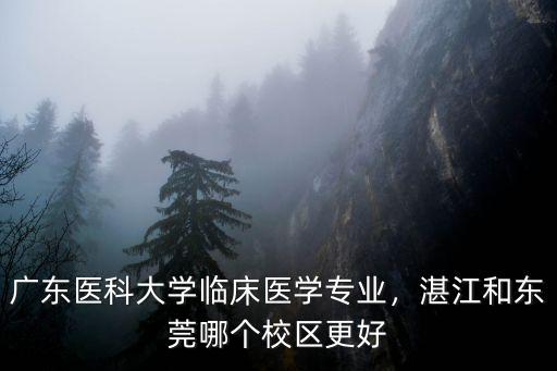 廣東醫(yī)科大學(xué)臨床醫(yī)學(xué)專(zhuān)業(yè)，湛江和東莞哪個(gè)校區(qū)更好