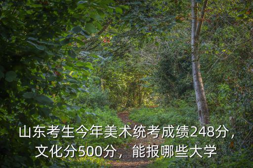 山東考生今年美術統考成績248分，文化分500分，能報哪些大學