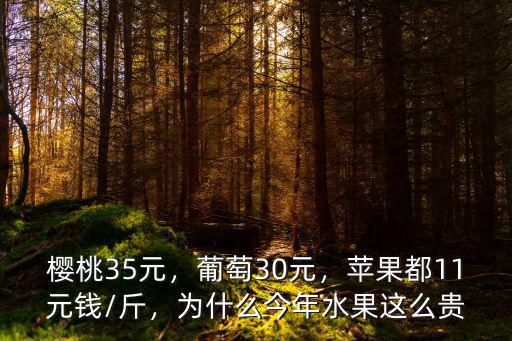 櫻桃35元，葡萄30元，蘋果都11元錢/斤，為什么今年水果這么貴