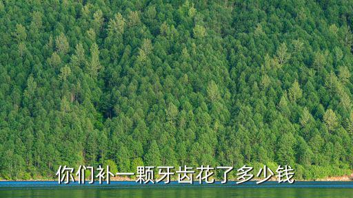 杭州種一顆假牙多少錢,你們補(bǔ)一顆牙齒花了多少錢