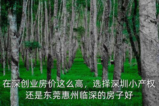 東莞和深圳哪里創業好,做生意開店去深圳好還是東莞