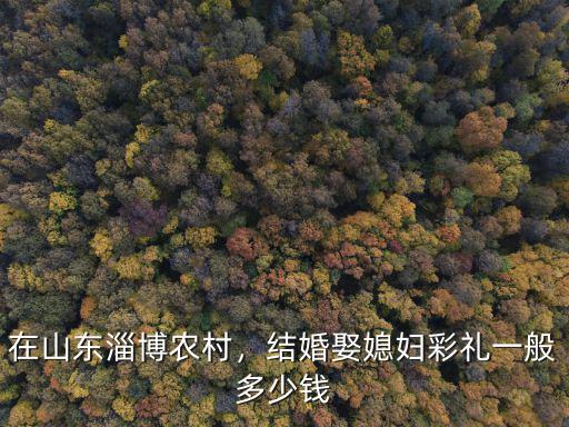 在山東淄博農村，結婚娶媳婦彩禮一般多少錢