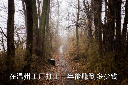 在溫州一年能賺多少錢,可以在家里慢沖